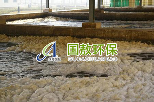 污水處理|污泥膨脹問題，解決方案與工藝建議
